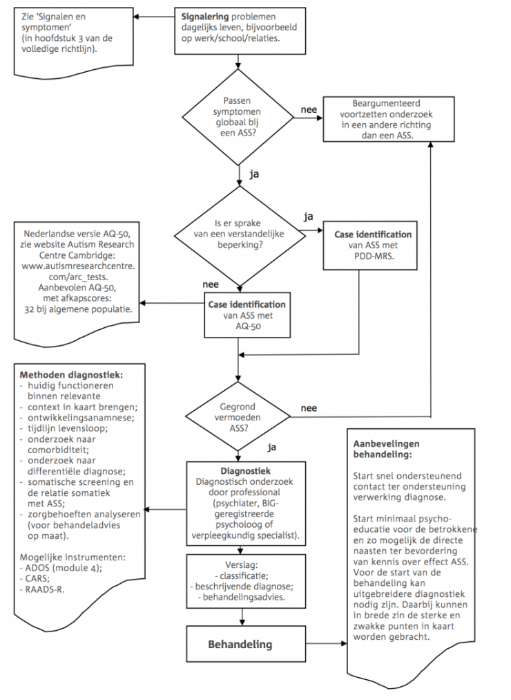 Stroomschema-ass-richtlijnen.png